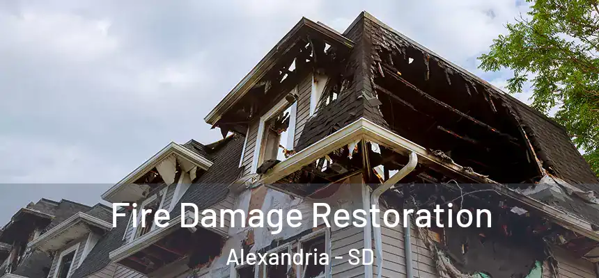 Fire Damage Restoration Alexandria - SD