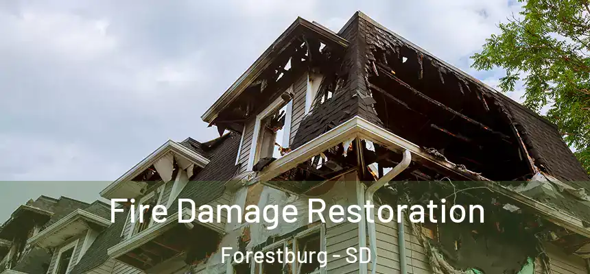 Fire Damage Restoration Forestburg - SD