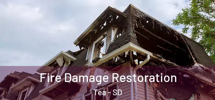 Fire Damage Restoration Tea - SD