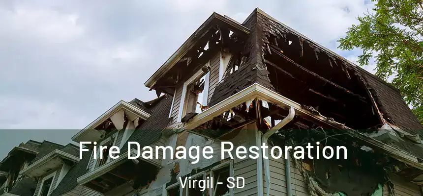 Fire Damage Restoration Virgil - SD
