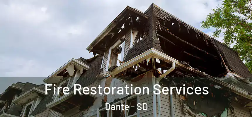 Fire Restoration Services Dante - SD