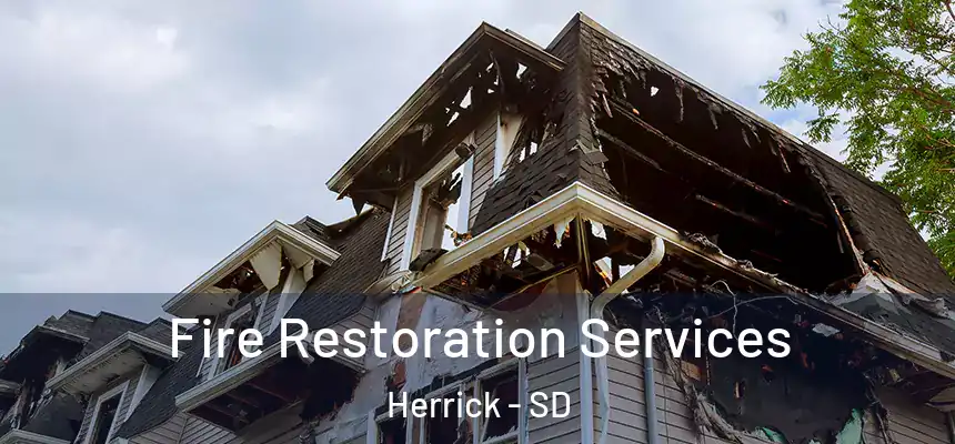 Fire Restoration Services Herrick - SD