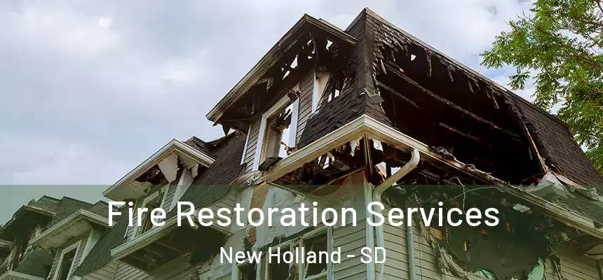 Fire Restoration Services New Holland - SD