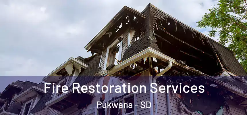 Fire Restoration Services Pukwana - SD