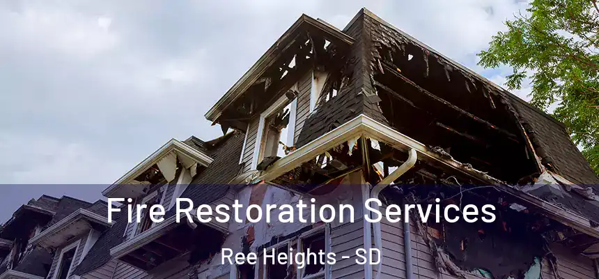  Fire Restoration Services Ree Heights - SD
