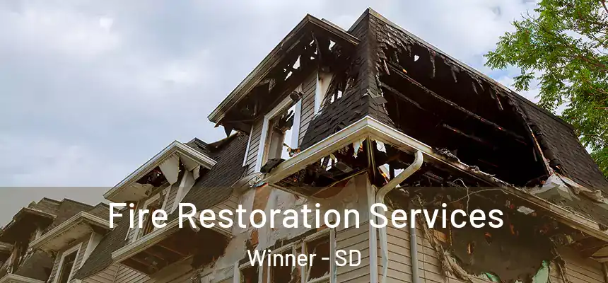 Fire Restoration Services Winner - SD