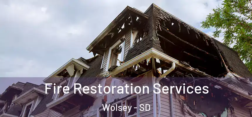  Fire Restoration Services Wolsey - SD