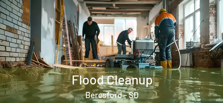 Flood Cleanup Beresford - SD