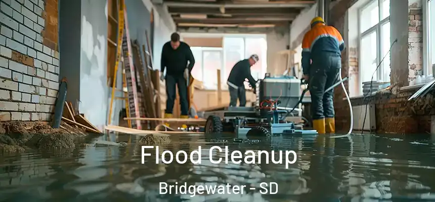 Flood Cleanup Bridgewater - SD