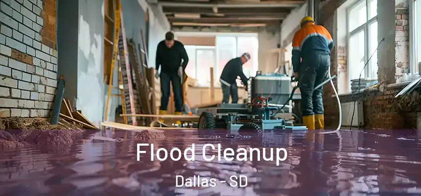 Flood Cleanup Dallas - SD