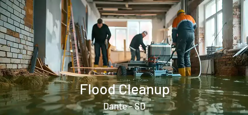 Flood Cleanup Dante - SD