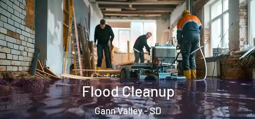 Flood Cleanup Gann Valley - SD