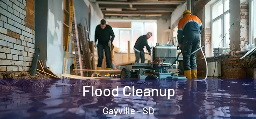 Flood Cleanup Gayville - SD