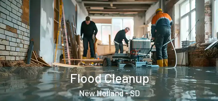  Flood Cleanup New Holland - SD