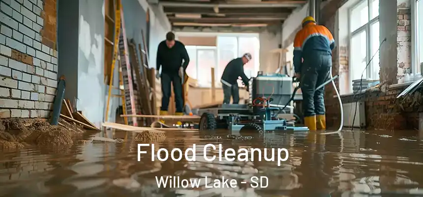Flood Cleanup Willow Lake - SD