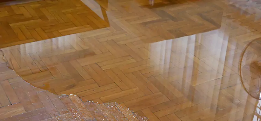 Laminate Wood Floor Water Damage Repair in Brookings