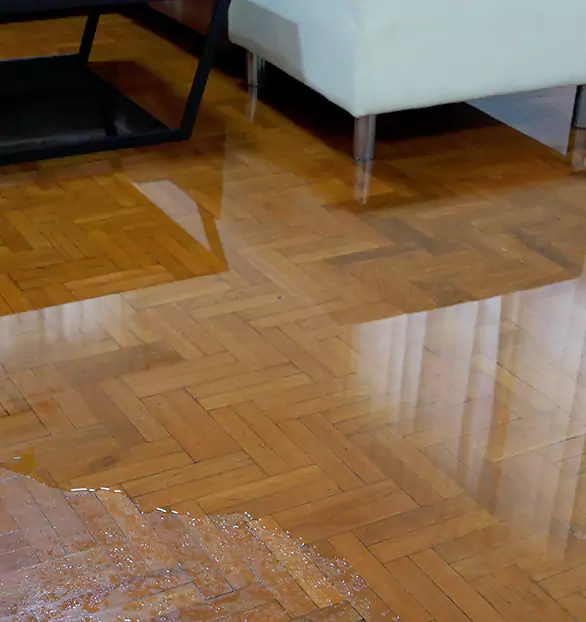 Trusted Emergency Water Restoration Company in Brookings, SD