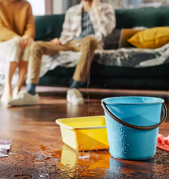 Trusted Water Restoration Company in Brookings, SD