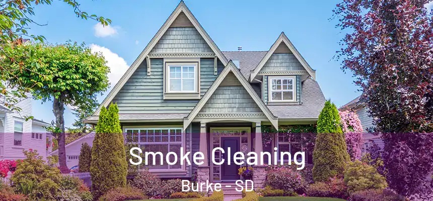  Smoke Cleaning Burke - SD