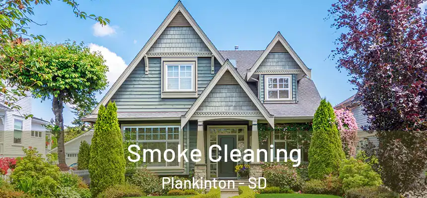 Smoke Cleaning Plankinton - SD