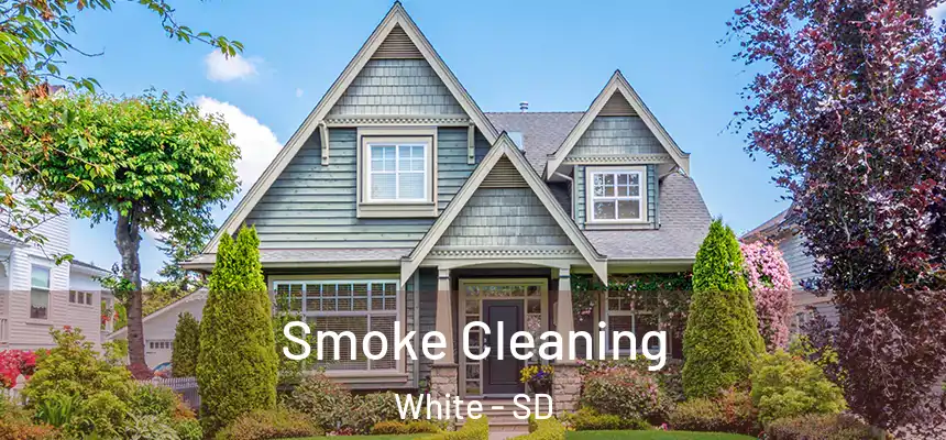  Smoke Cleaning White - SD