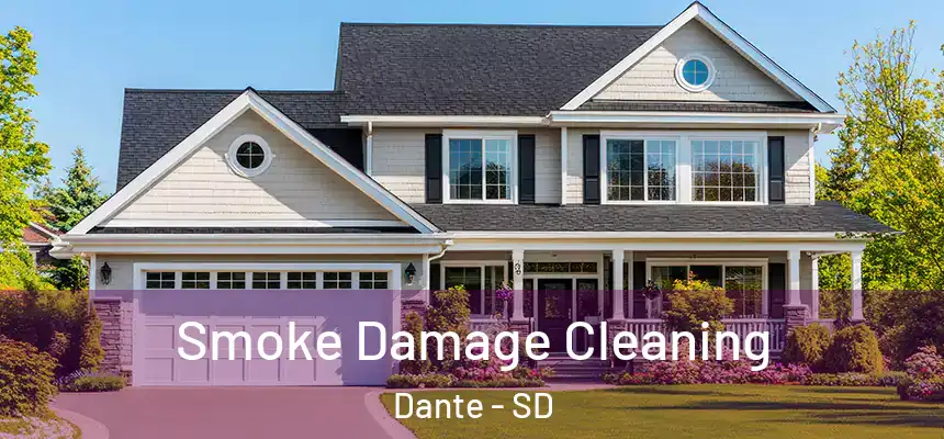 Smoke Damage Cleaning Dante - SD