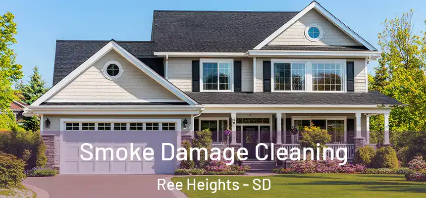  Smoke Damage Cleaning Ree Heights - SD